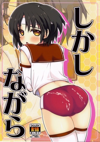 Shikashi Nagara cover