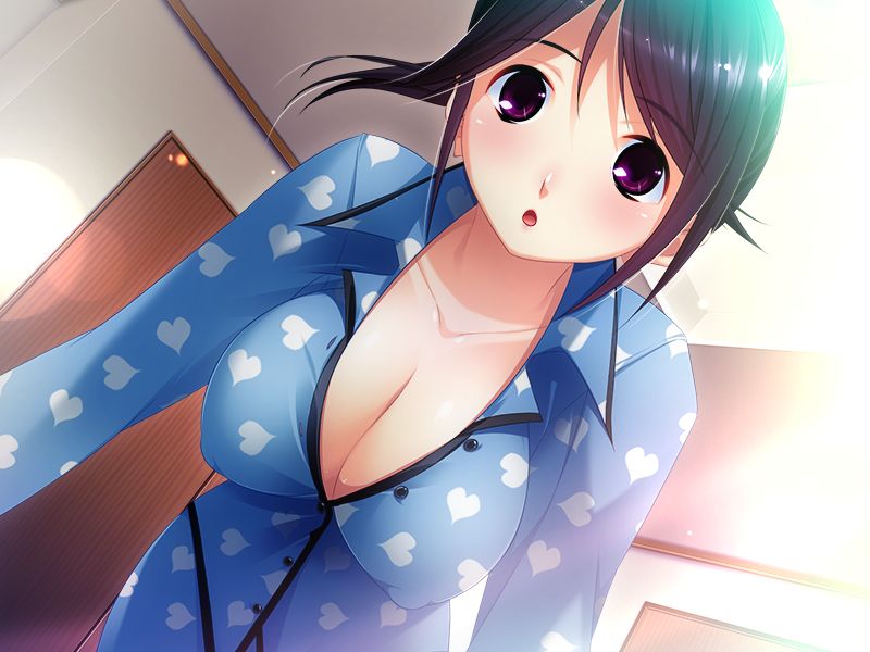 Aneimo Neo+ ~Second Sisters~ CG game+append disc page 5 full