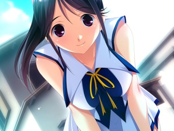 Aneimo Neo+ ~Second Sisters~ CG game+append disc cover