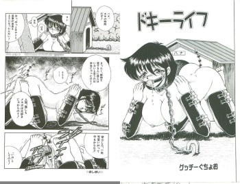 ドキーライフ cover