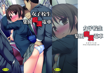 Joshikousei Shuudan Chikan Densha cover