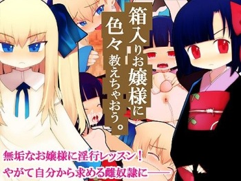 Hakoiri Ojousama Ni Iroiro Oshie Chaou cover