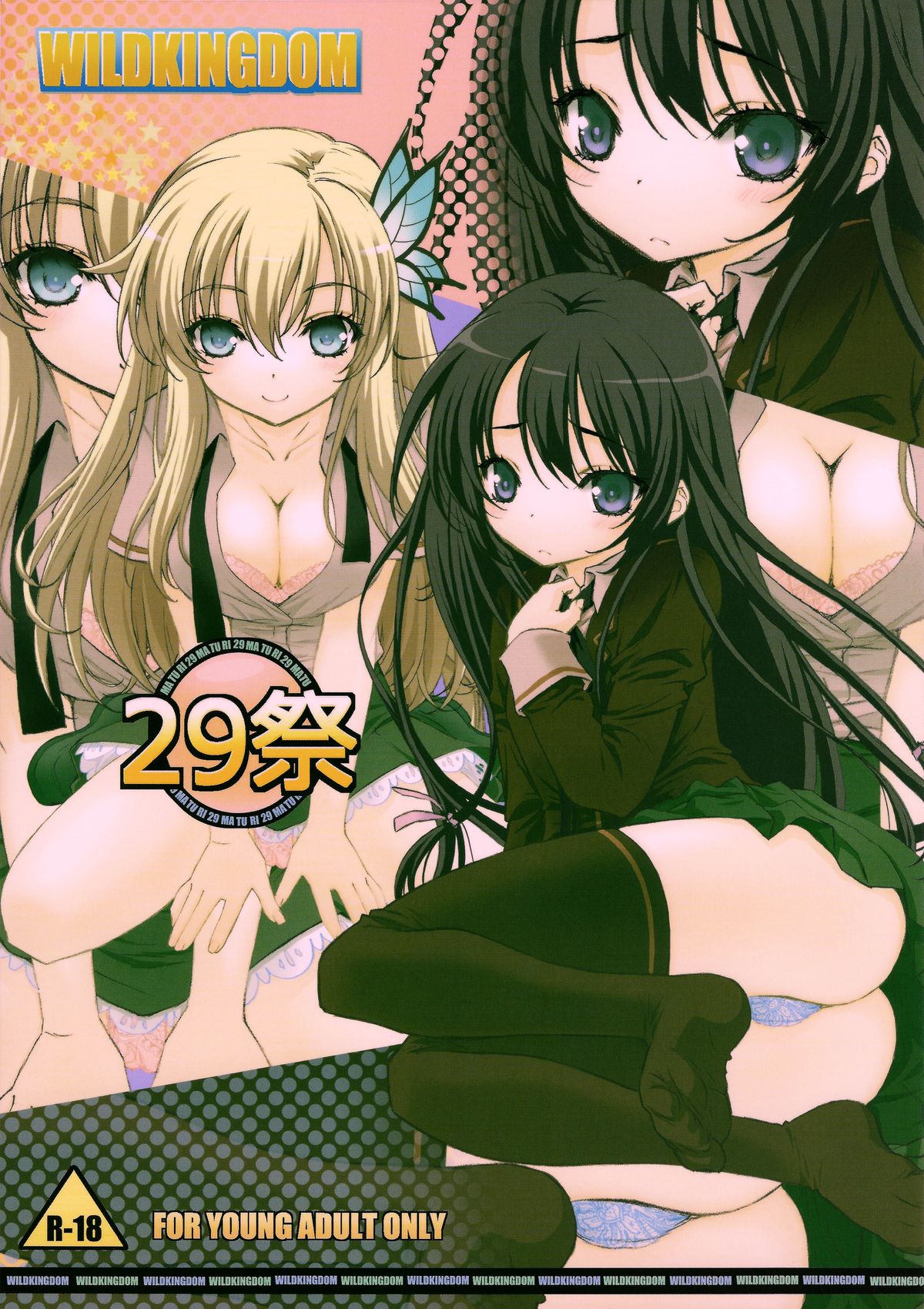 29 Sai page 1 full