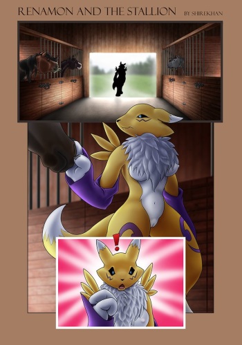 Renamon and the Stallion cover