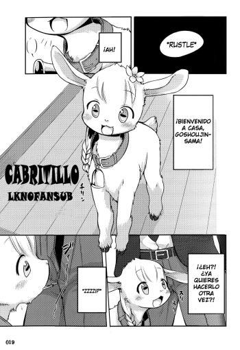 Koyagi! | Cabritillo cover