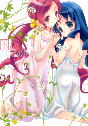 Kokoro no Kankei cover