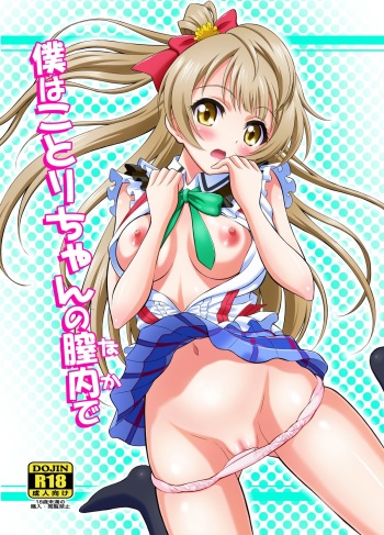 Boku wa Kotori-chan no Naka de cover