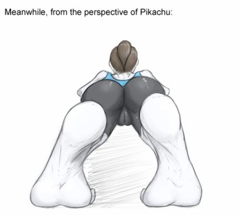 Wii Fit Trainer cover