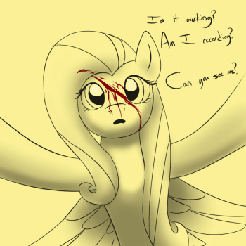 Murdershy cover