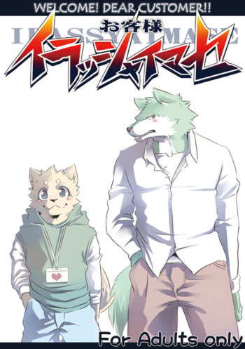 Mr. Customer cover