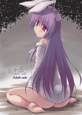 Iede Usagi. cover