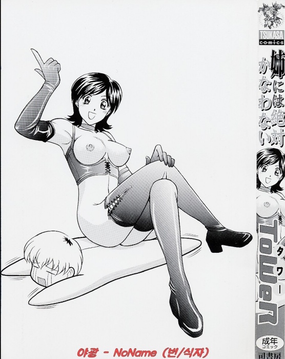 Ane ni wa Zettai Kanawanai page 2 full