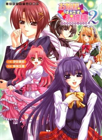 Ojousama Versus Ojousama Double ★ Fiancée Vol.2 cover