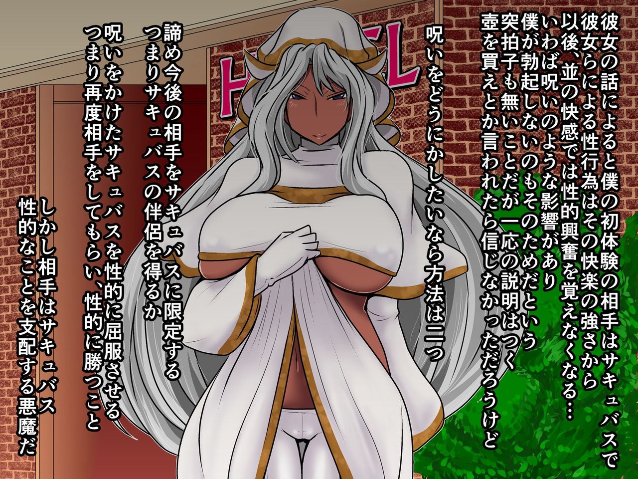 Succubus no Toriko ni Sareta Boku wa Hangeki wo Kokoromita, CG Shuu page 6 full
