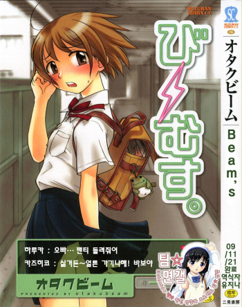 Beam's cover