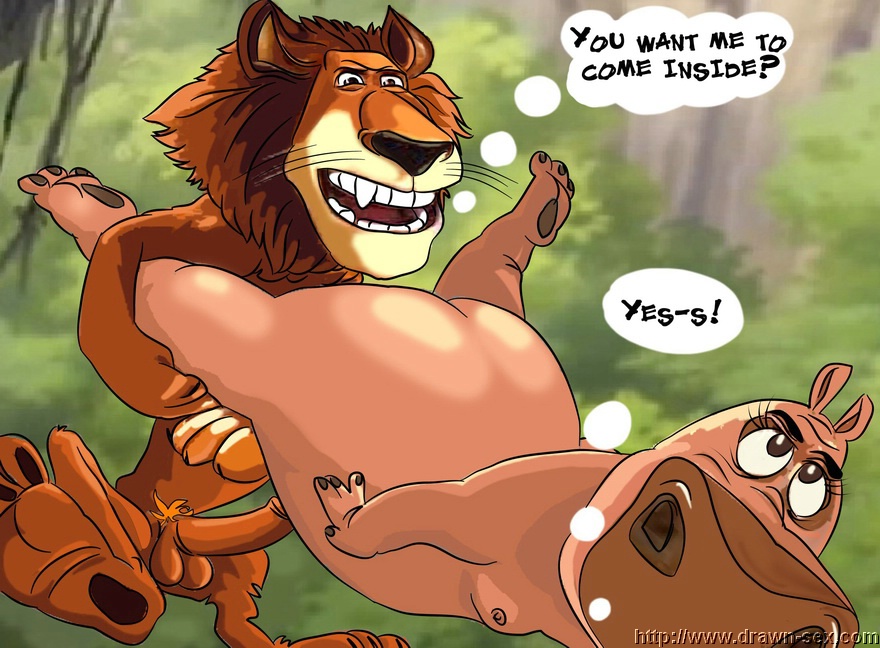 MADAGASCAR &amp; THE KING LEON DRAWN SEX page 6 full