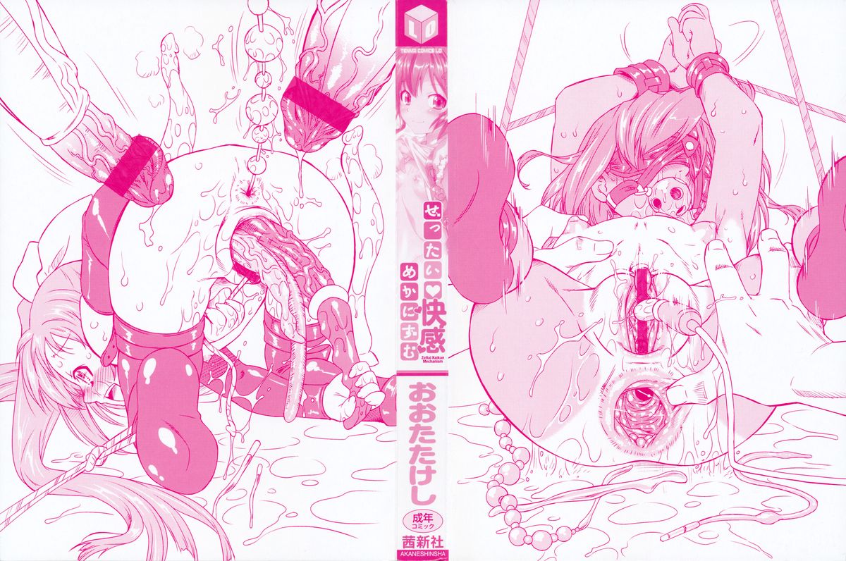 Zettai Kaikan Mechanism page 3 full