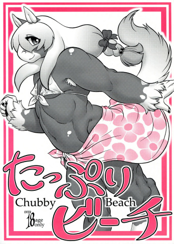 Chubby Beach cover
