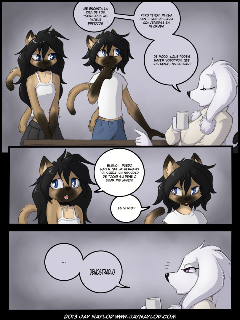 Housecats  | Gatos Domesticos page 2 full