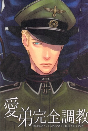 愛弟完全調教 cover