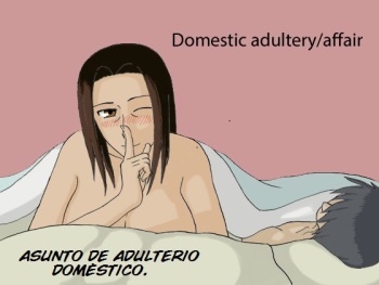 Kateinai Furin | Asunto de Adulterio Domestico cover
