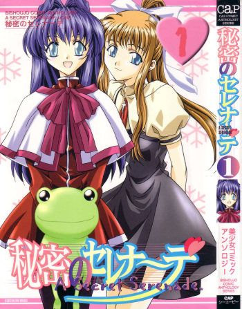 Himitsu no Serenade 1 cover