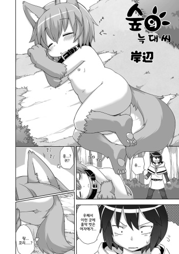 Mori no Ookami-san cover