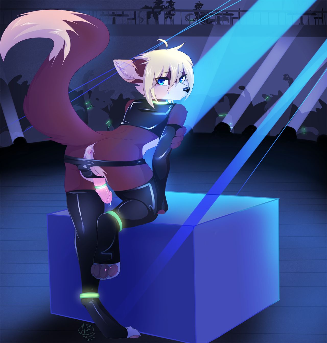 Beautiful Vibrant Furry Wallpapers page 4 full