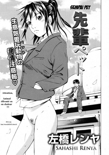 sempai pet cover