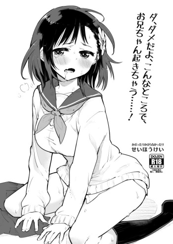Da, Dame da yo Konna Tokoro de, Onii-chan ga Okichau......! cover