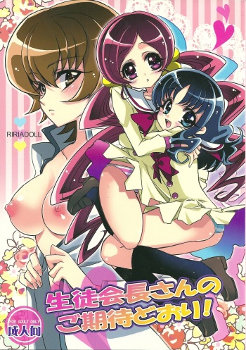 Seitokaichou-san no Gokitai doori! cover