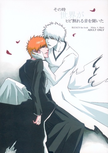 Sono Toki Sekai ga Hibi Wareru Oto wo Kiita cover