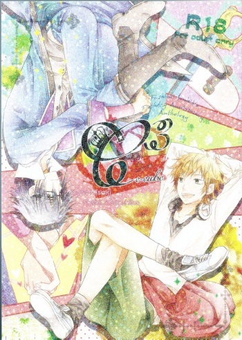 C3 cover