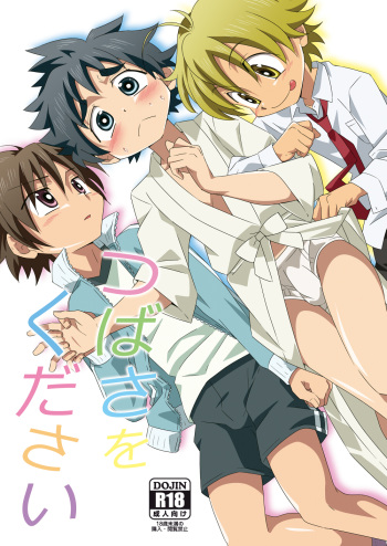 Tsubasa o Kudasai cover