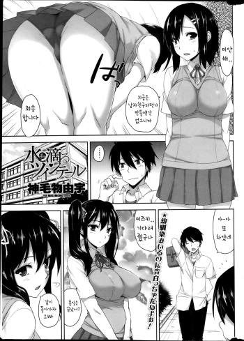 mizumo sitataru twin tail cover