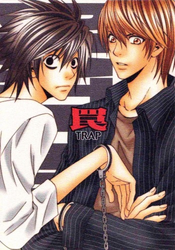 Trap cover