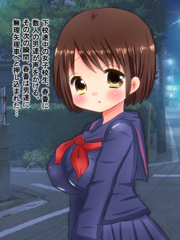 Otoko-tachi ni Kankin Kinbaku Ryoujoku Sare Kowareteiku Joshikousei no Shikyuu cover