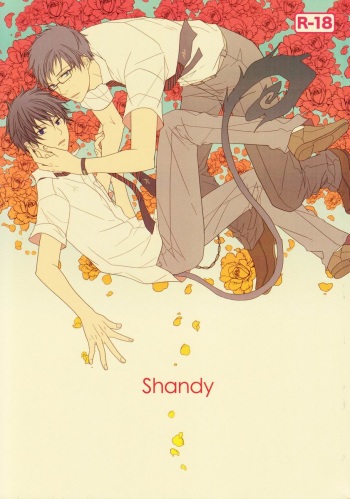 Shandy cover