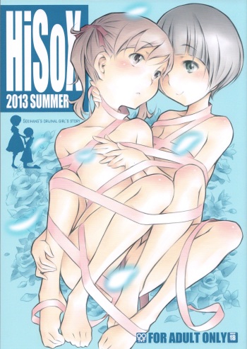 HiSox cover