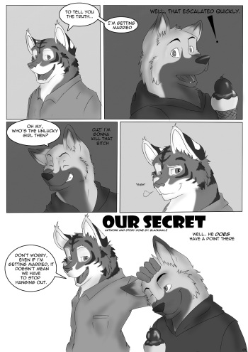 Our Secret cover