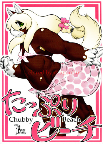 Chubby Beach cover