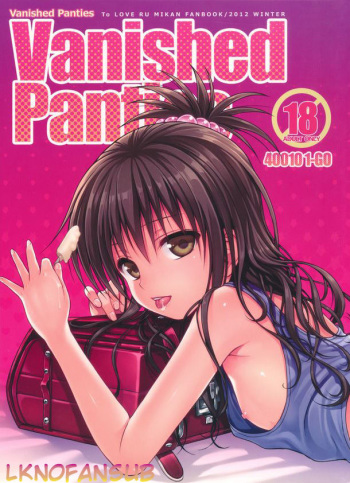 Vanished Panties cover