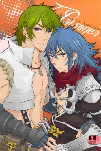 Prisoner cover