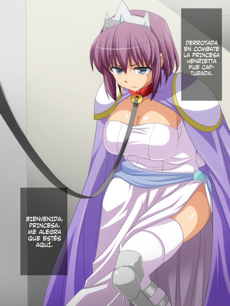 Royal Bitch wo Niku Dorei ni Suru CG shuu page 2 full