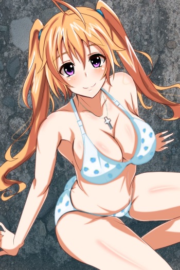 High School DxD Collection cover
