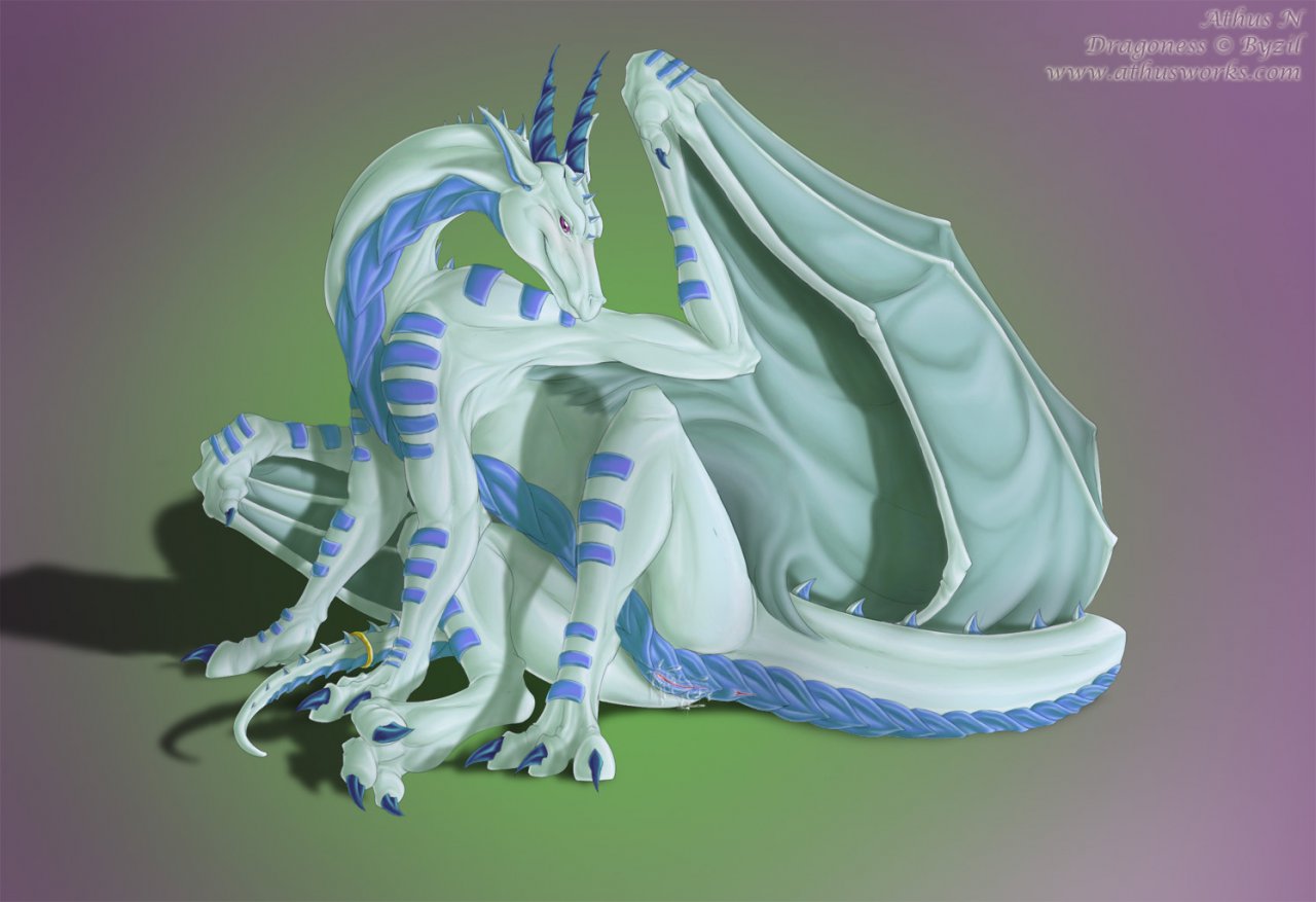 dragons page 7 full