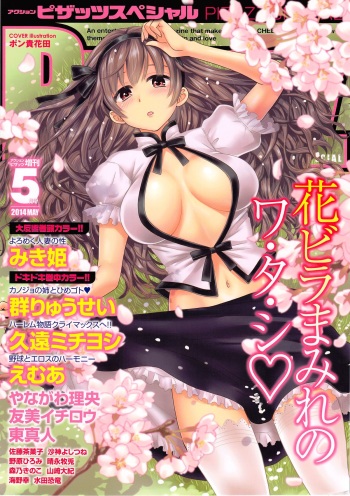 Action Pizazz Special 2014-05 cover