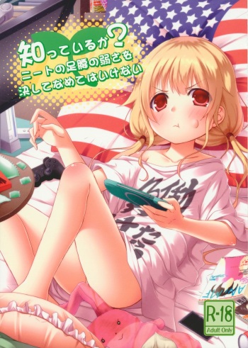 Shitte Iruka? Neet no Ashikoshi no Yowasa wo Kesshite Namete wa Ikenai cover