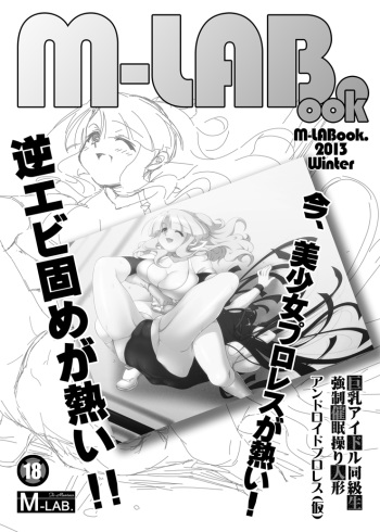 M-LABook.2013Winter DL版 cover