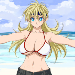 画像詰め合わせ 456枚